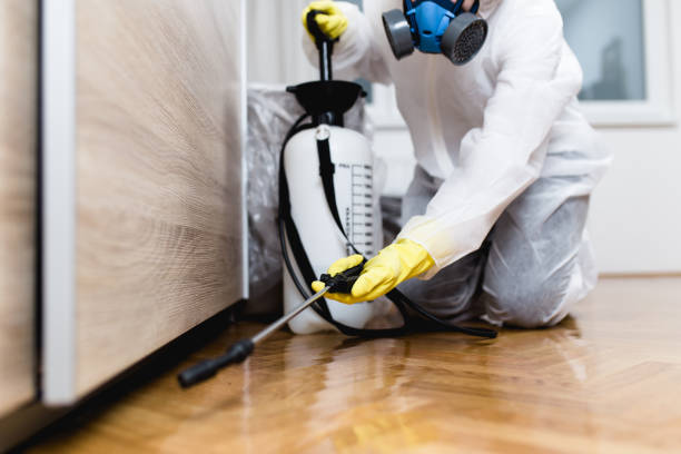 Best Affordable Pest Control Services  in Ferndale, MD