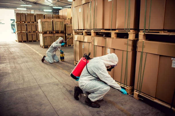 Best Pest Removal Services  in Ferndale, MD