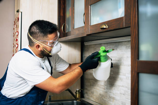 Best Best Pest Control Companies  in Ferndale, MD