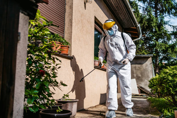 Best Mosquito Control Services  in Ferndale, MD