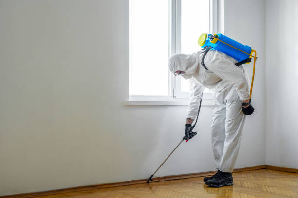Insect Control in Ferndale, MD