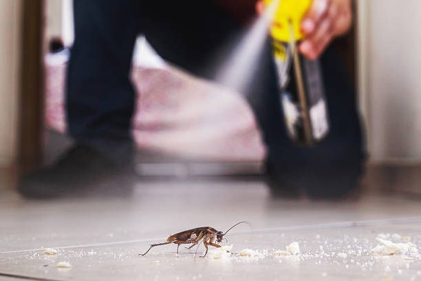 Best Exterminator Services  in Ferndale, MD
